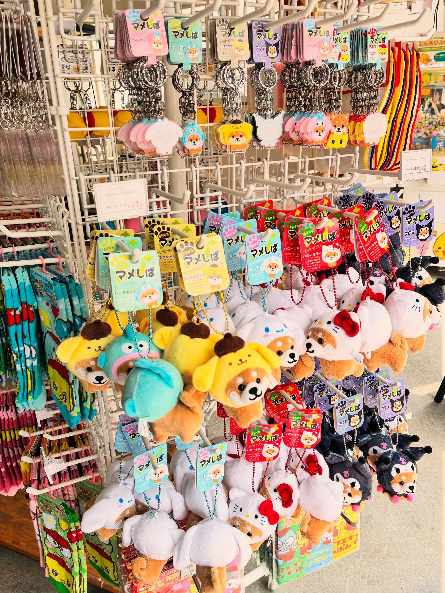 本日営業中❣️