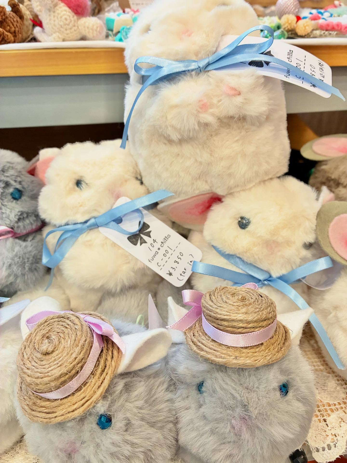 とってもcuteなチンチラちゃん💕