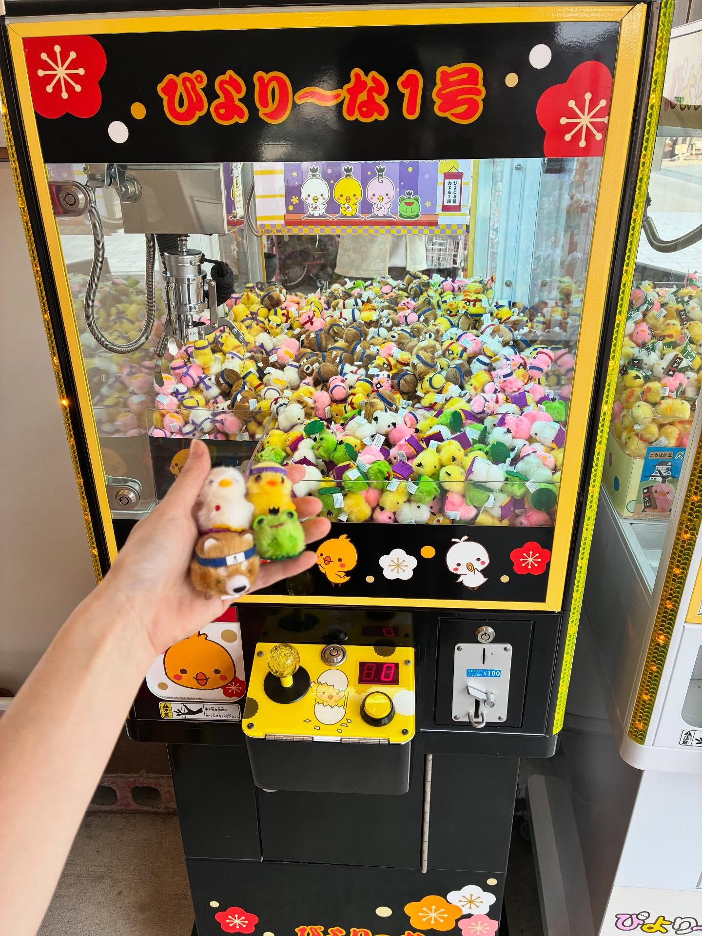 お店の外も楽しいものが満載✨