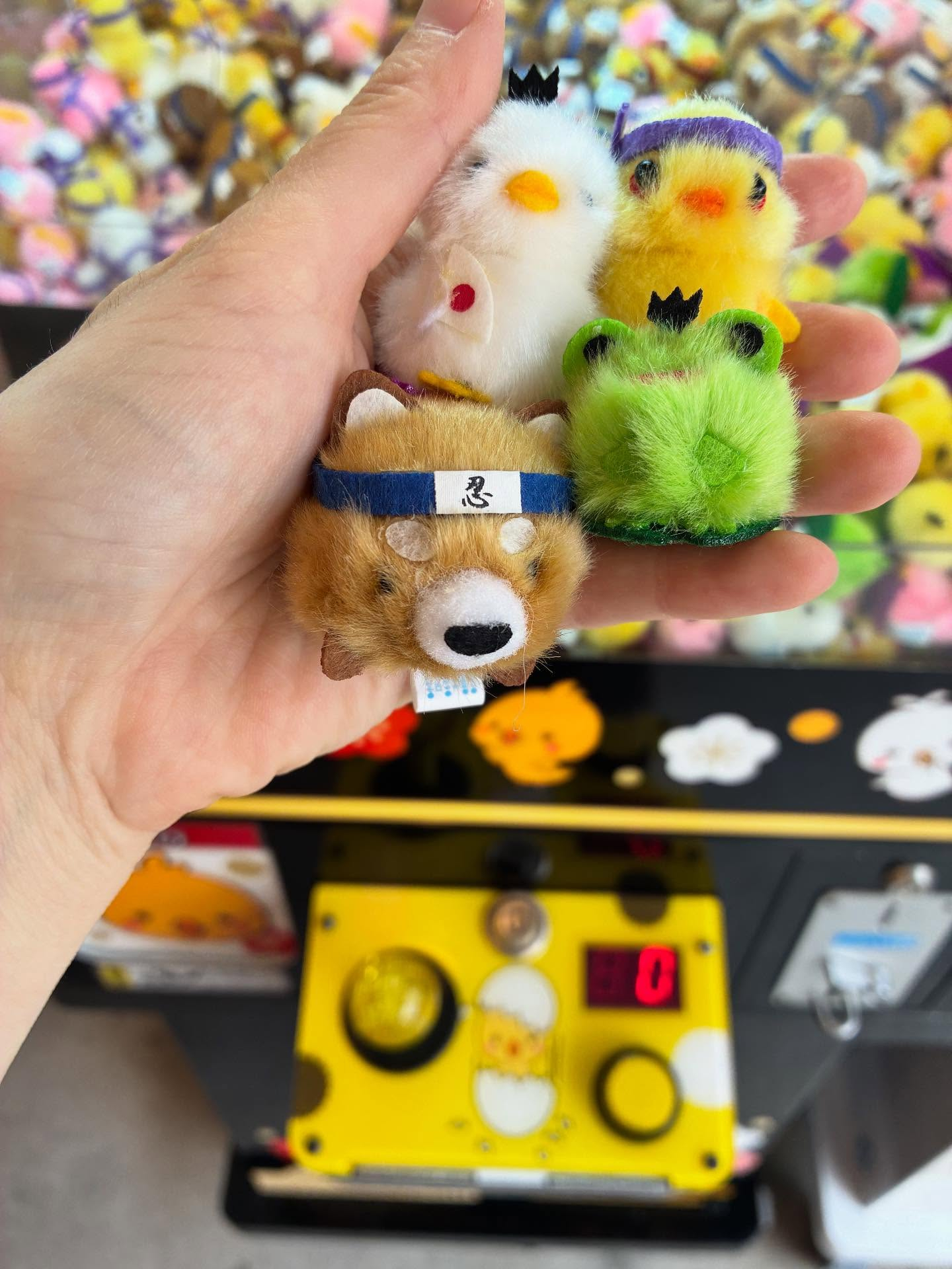 お店の外も楽しいものが満載✨