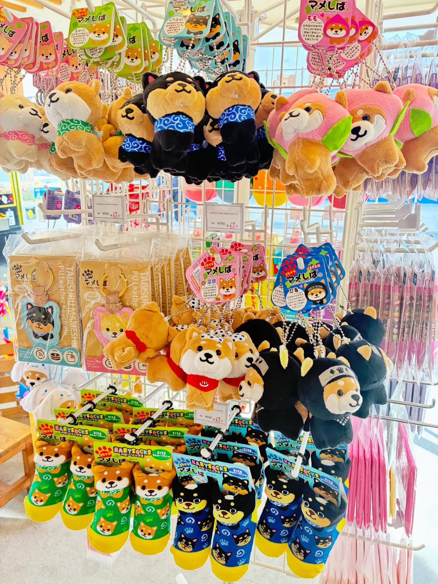 犬山と言ったら犬⁈🐶