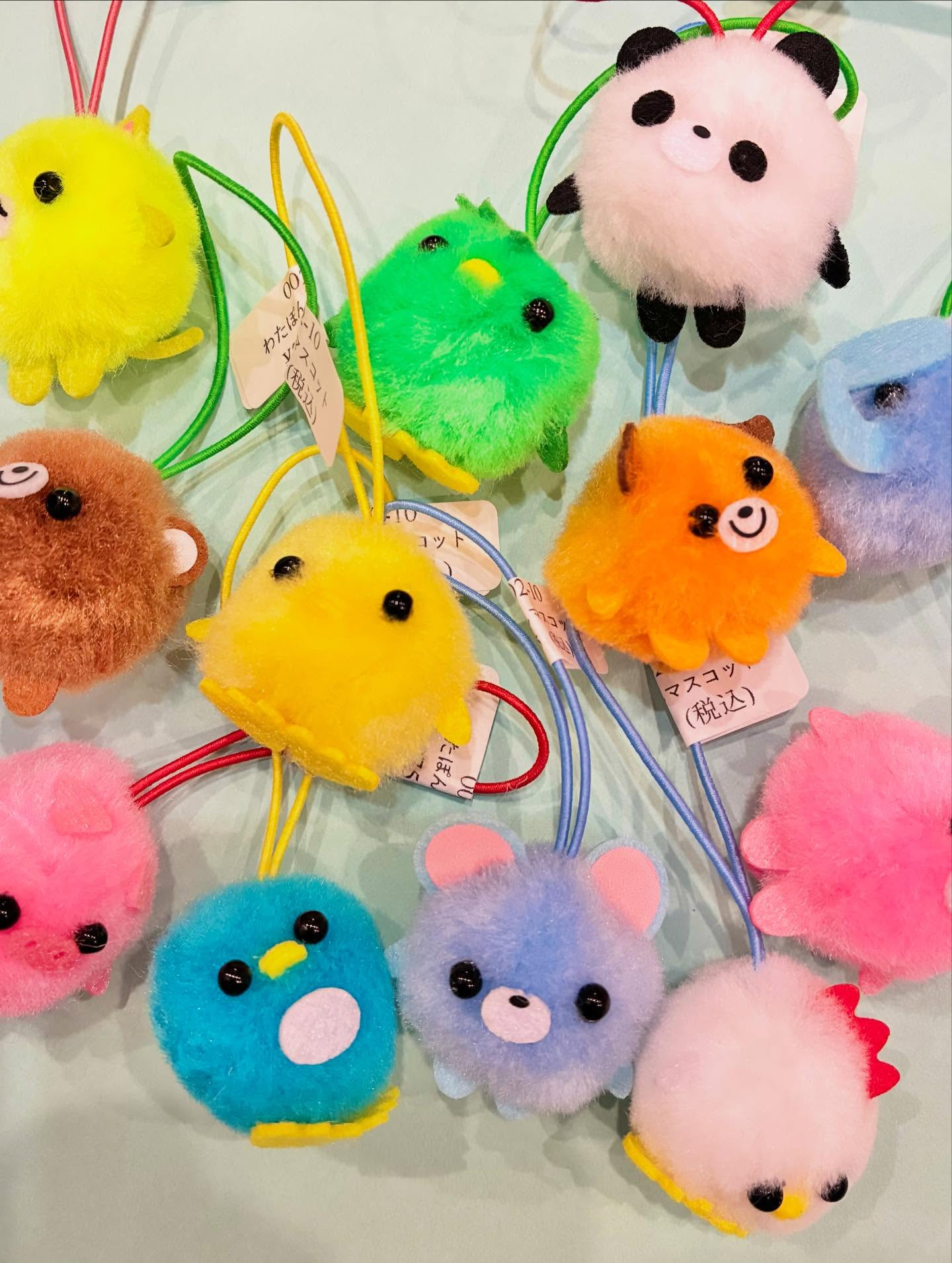 今日は冷んやり気温が低くひえますね🍂