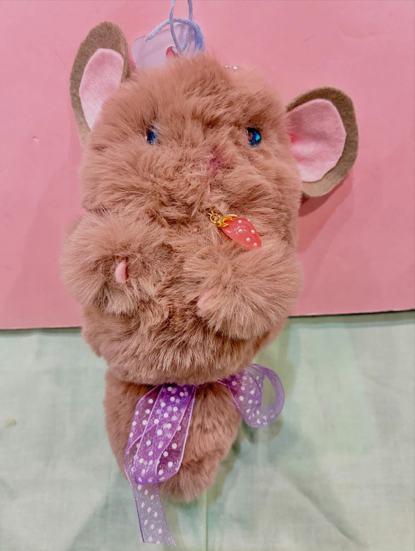 チンチラちゃん🌼入荷しました🌈