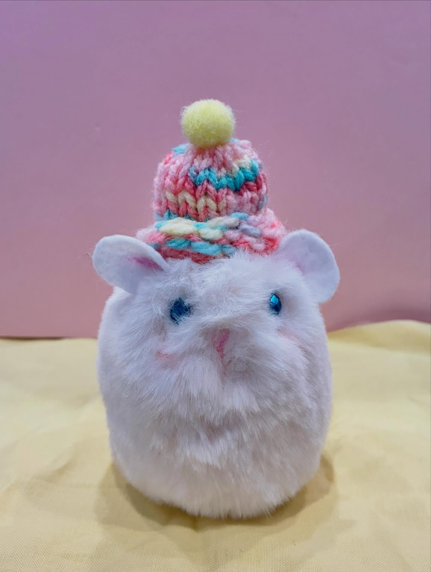 チンチラちゃん🌼入荷しました🌈
