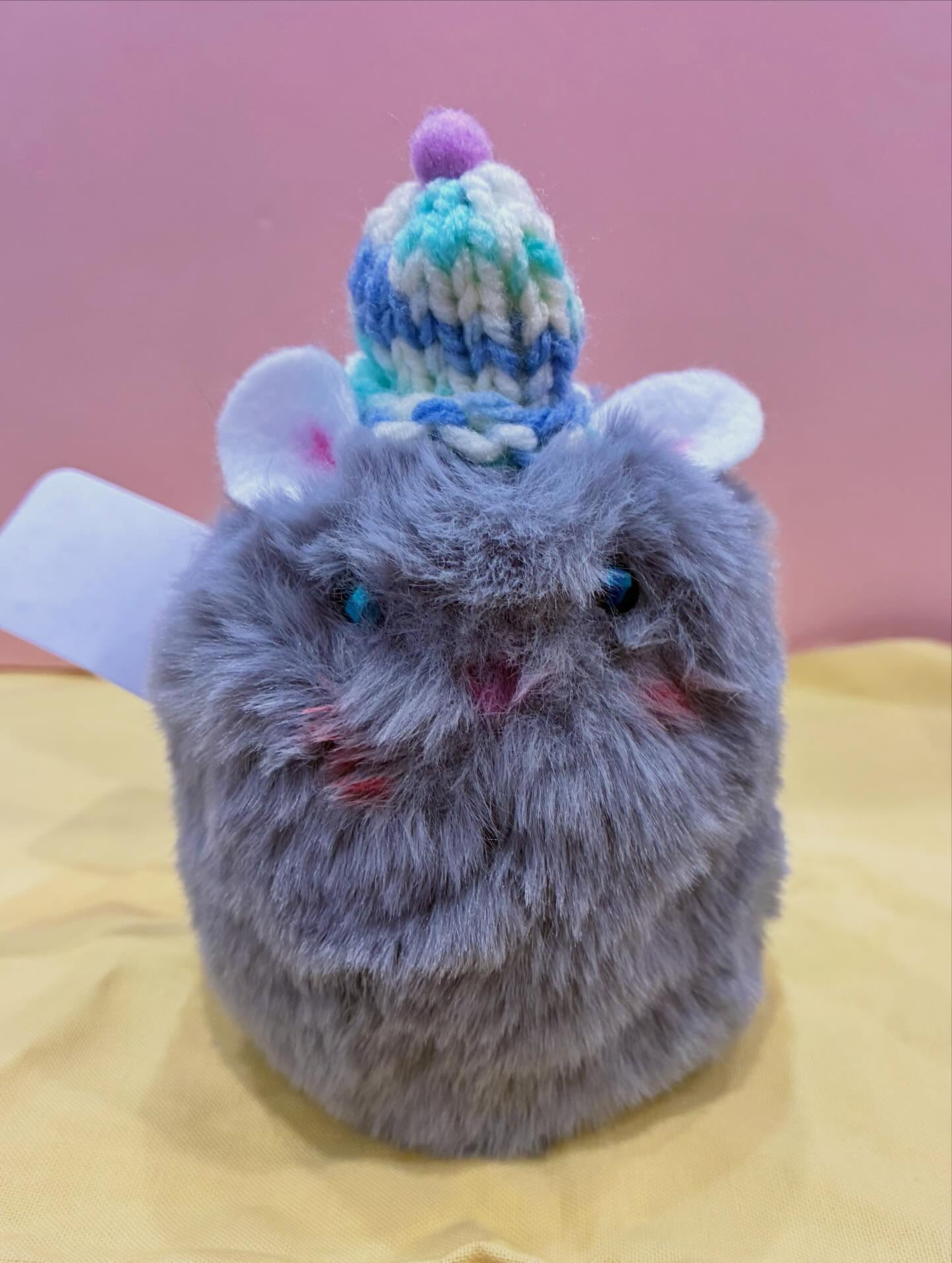 チンチラちゃん🌼入荷しました🌈