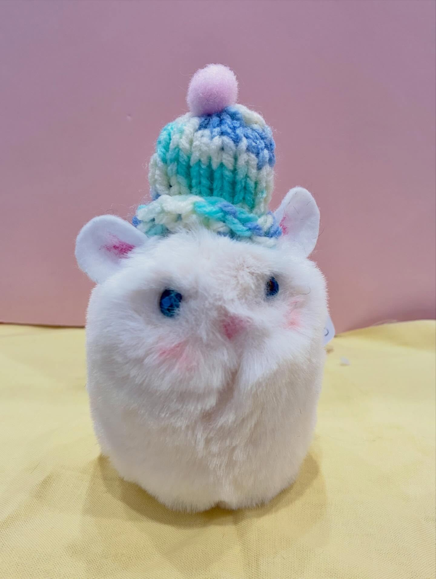 チンチラちゃん🌼入荷しました🌈