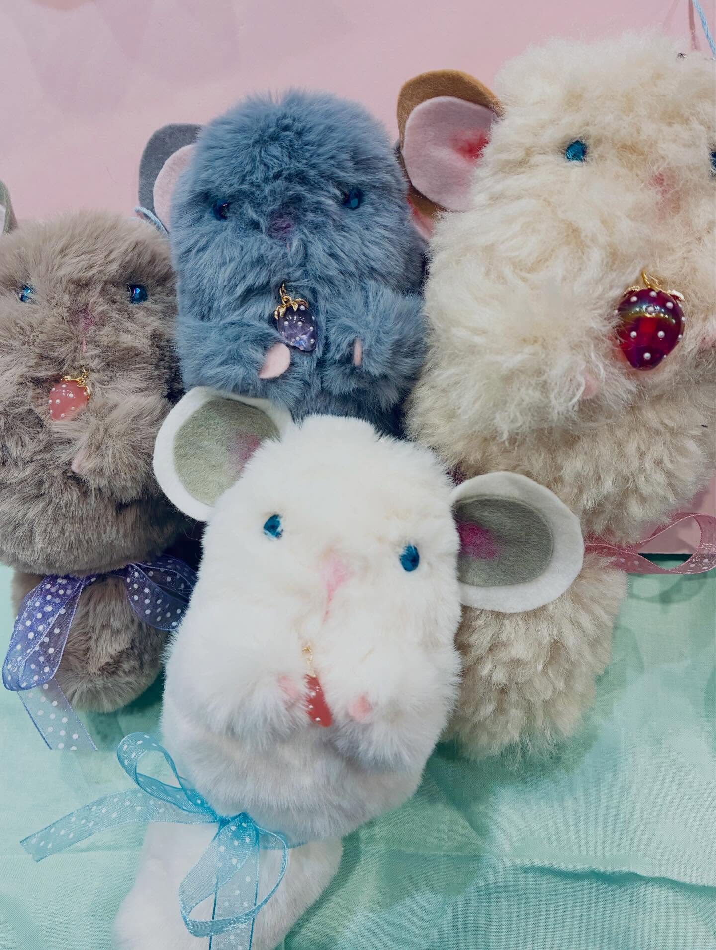 チンチラちゃん🌼入荷しました🌈