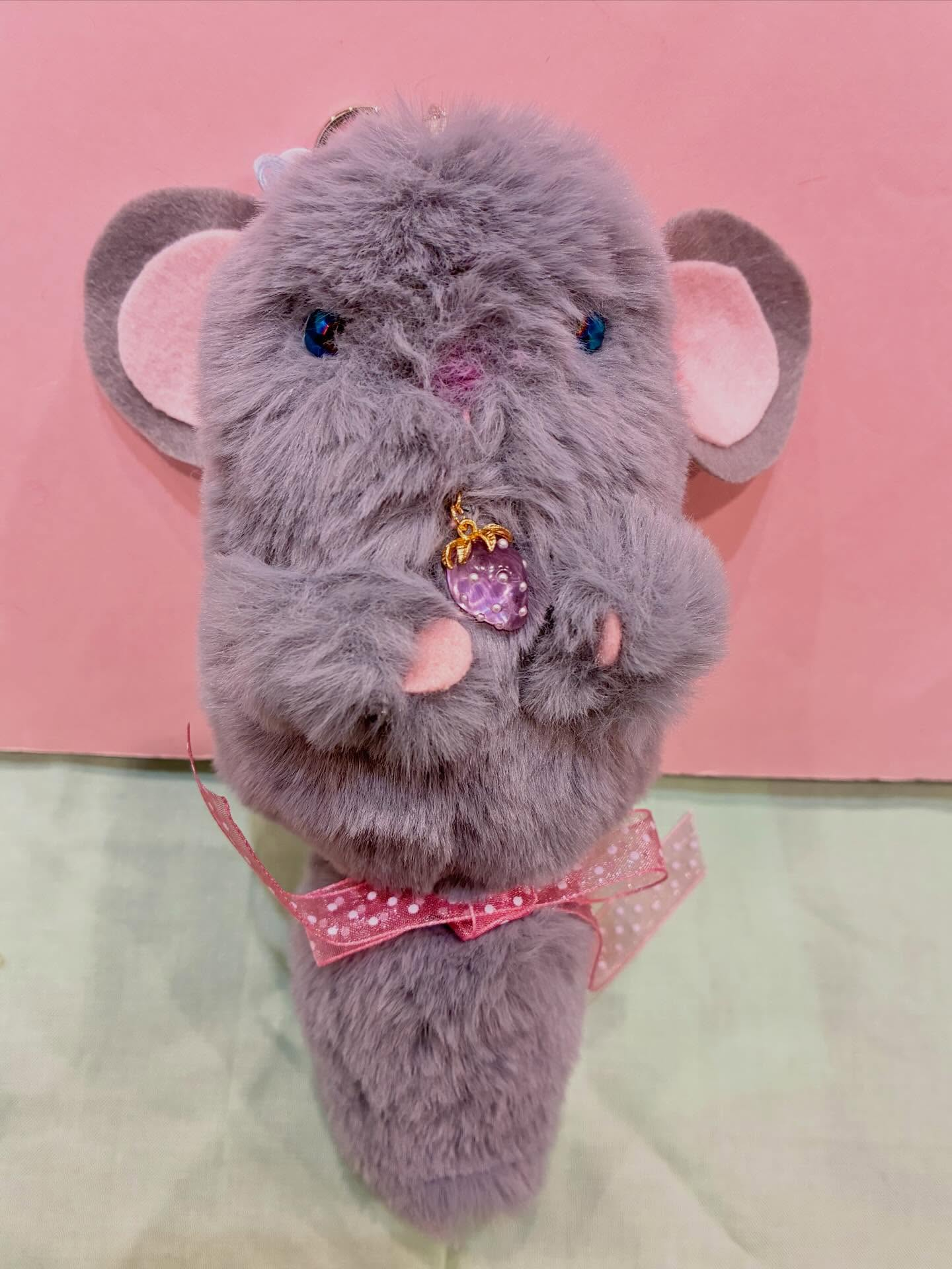 チンチラちゃん🌼入荷しました🌈