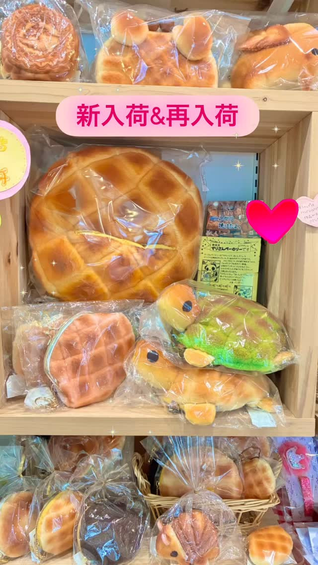 今日は雨で少し蒸し暑いですね🌻☔️