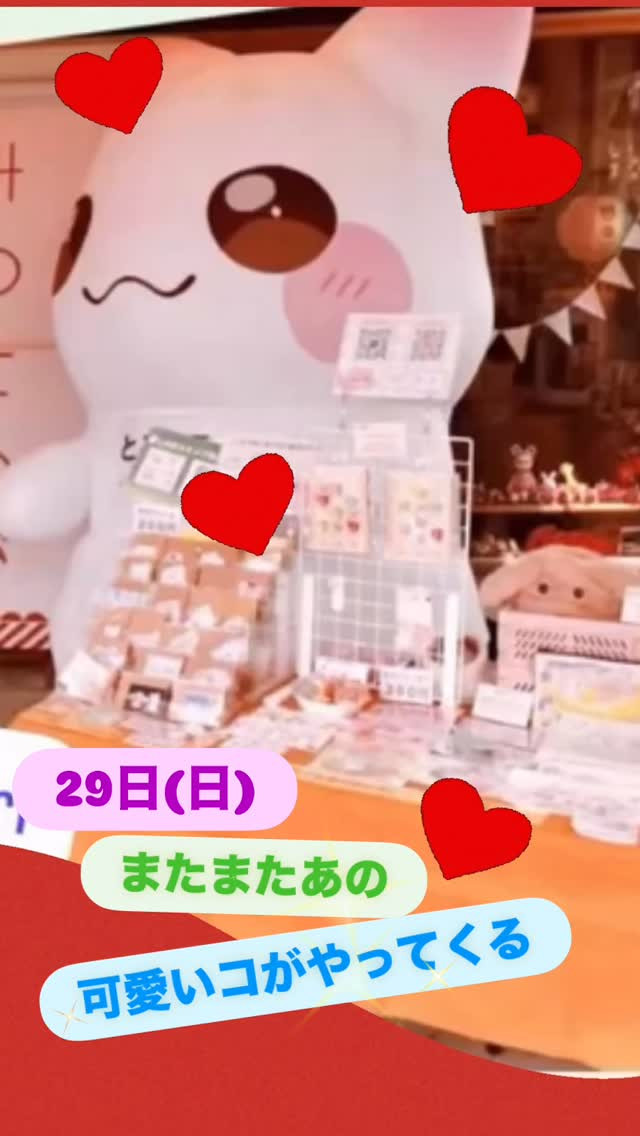 とろねこちゃん🐈